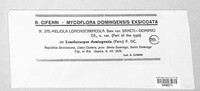 Meliola lonchocarpicola image
